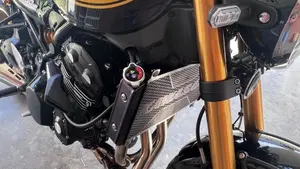 Kawasaki Z 900 RS SE (2022 - 25)  (7)