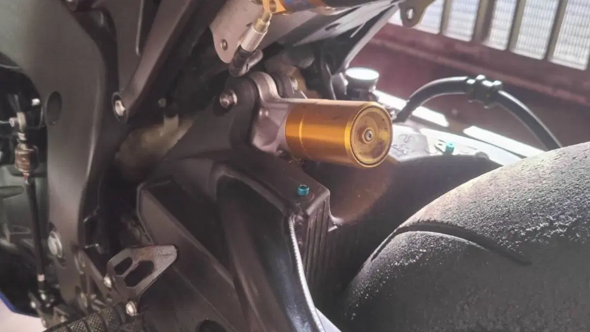 Honda CBR 1000 RR Fireblade (2008 - 11)  (6)