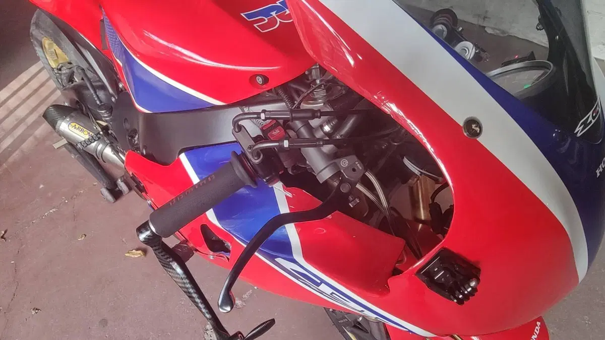 Honda CBR 1000 RR Fireblade (2008 - 11)  (8)