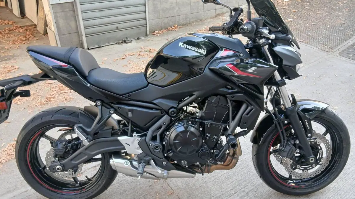 Kawasaki Z 650 (2025 - 26) 