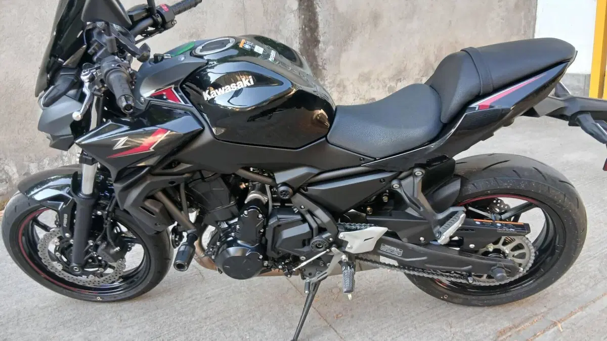 Kawasaki Z 650 (2025 - 26)  (2)
