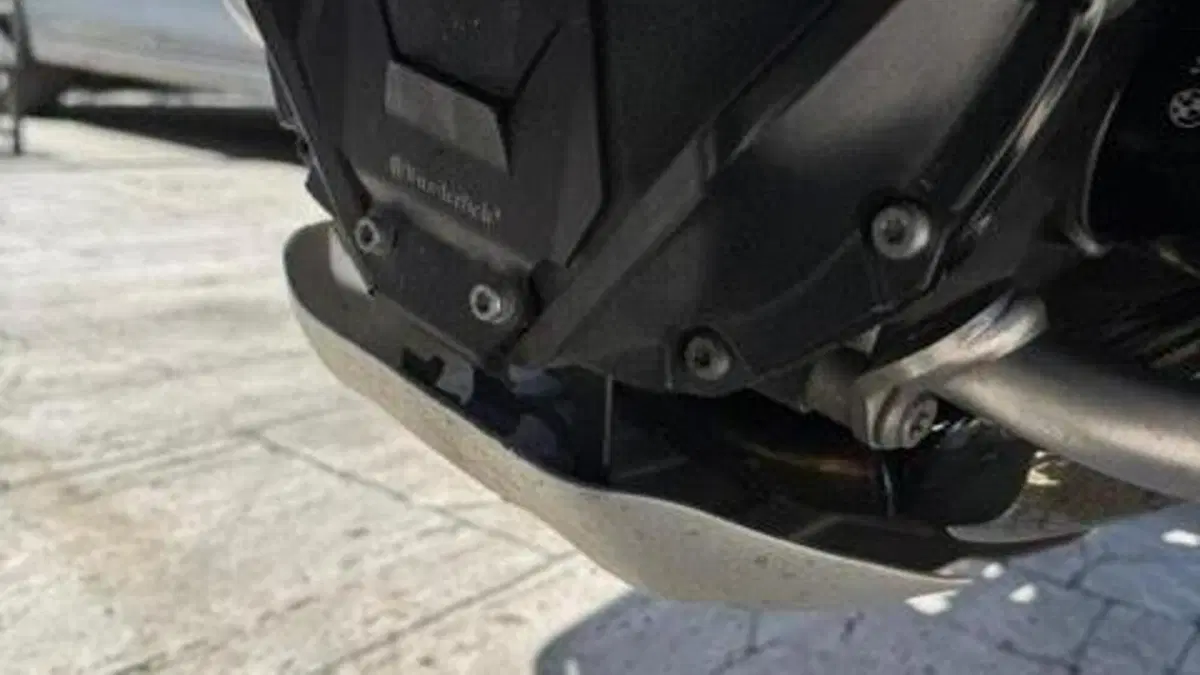 Bmw R 1250 GS (2021 - 24)  (8)