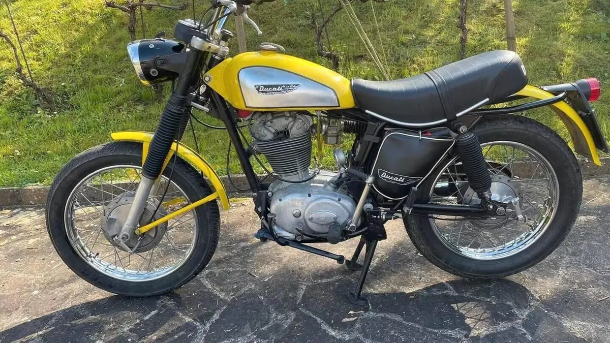 Ducati   (4)