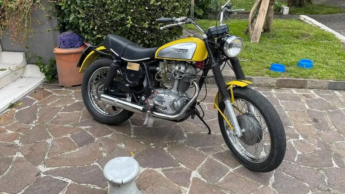 Ducati   (5)