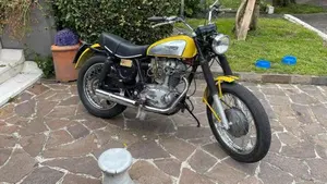 Ducati   (5)