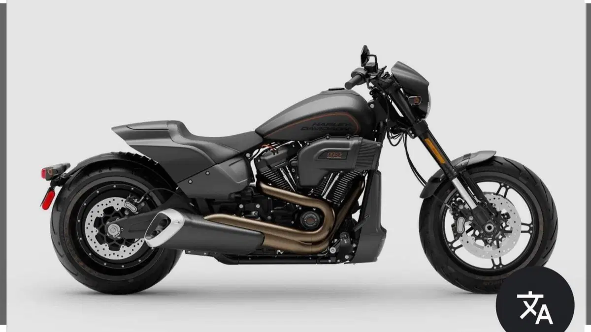 Harley-Davidson 114 FXDR (2019 - 20)  (9)