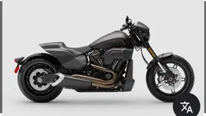 Harley-Davidson 114 FXDR (2019 - 20)  (9)