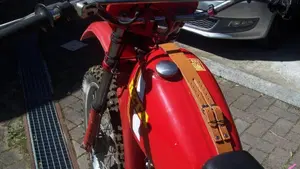 Betamotor   (5)