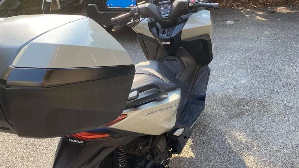 Honda Forza 350 Deluxe (2022 - 24)  (6)