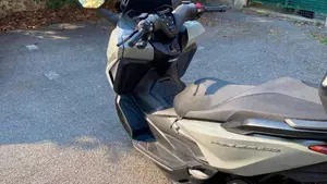 Honda Forza 350 Deluxe (2022 - 24)  (5)