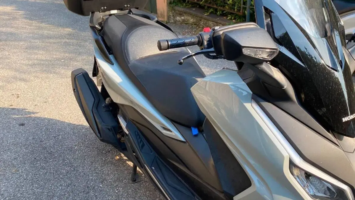 Honda Forza 350 Deluxe (2022 - 24)  (4)