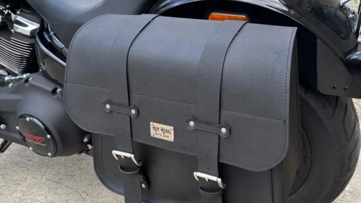 Harley-Davidson Low Rider S (2025 - 26)  (5)