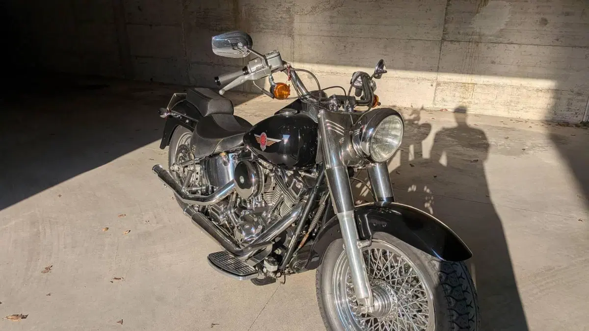 Harley-Davidson 1450 Fat Boy (1999 - 02) - FLSTF  (2)