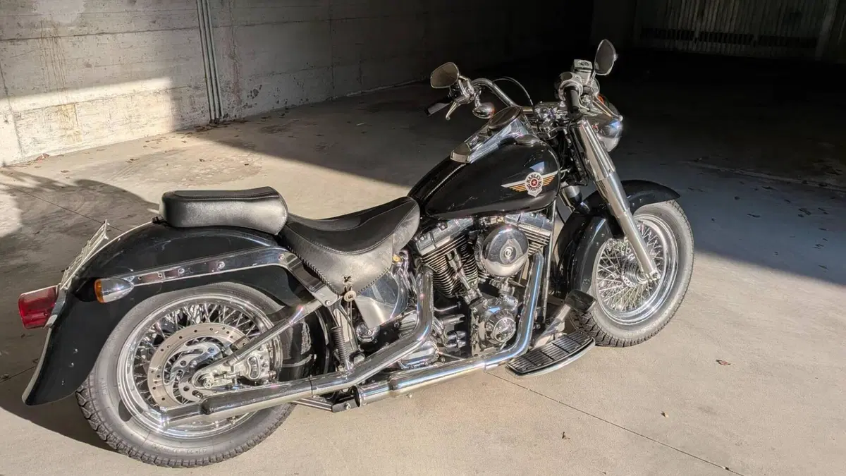 Harley-Davidson 1450 Fat Boy (1999 - 02) - FLSTF  (3)
