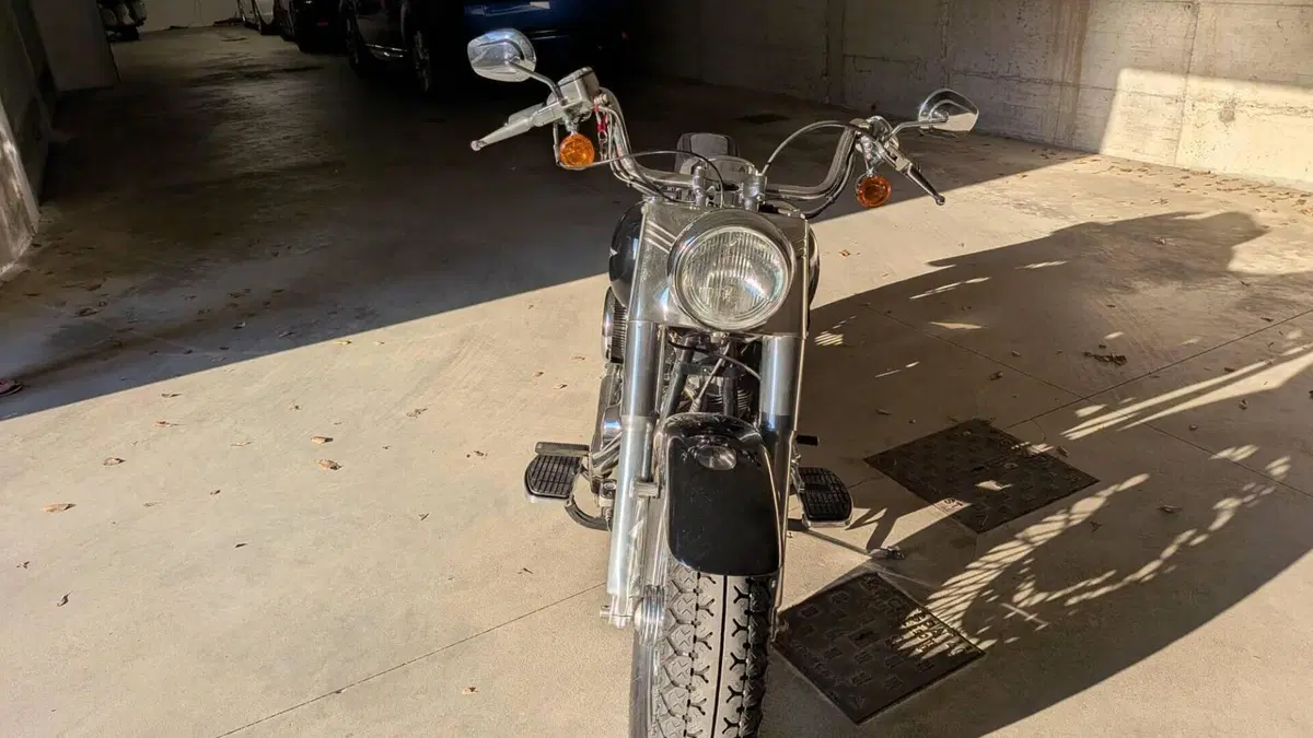 Harley-Davidson 1450 Fat Boy (1999 - 02) - FLSTF  (4)