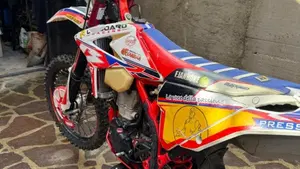 Betamotor RR 350 4T Enduro Racing EFI (2017)  (8)