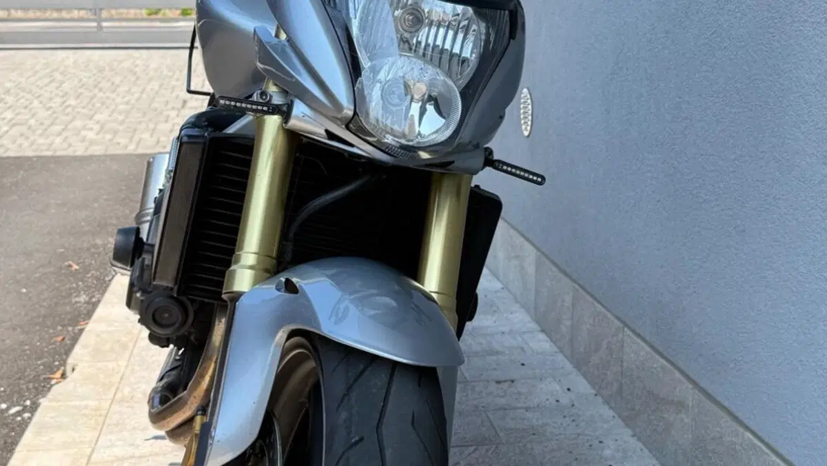 Honda Hornet 600 (2007 - 10)  (6)