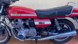 Suzuki   (2)