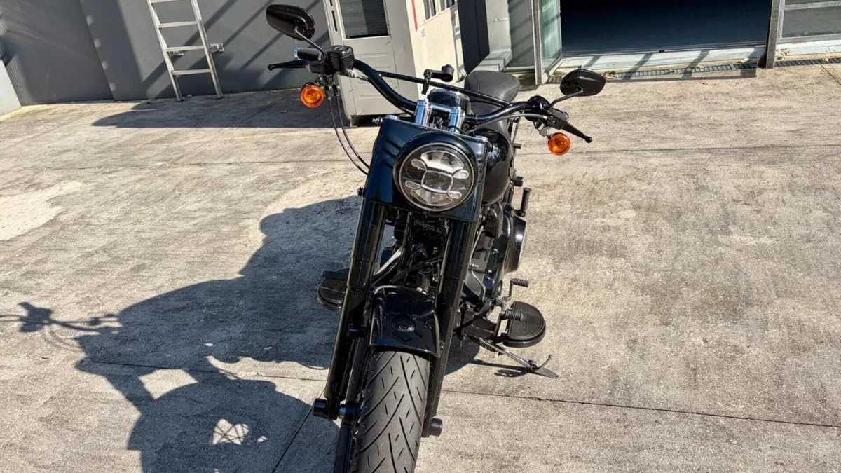 Harley-Davidson 1690 Slim (2011 - 16) - FLS  (2)