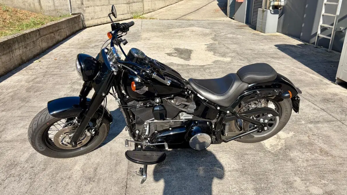 Harley-Davidson 1690 Slim (2011 - 16) - FLS  (3)