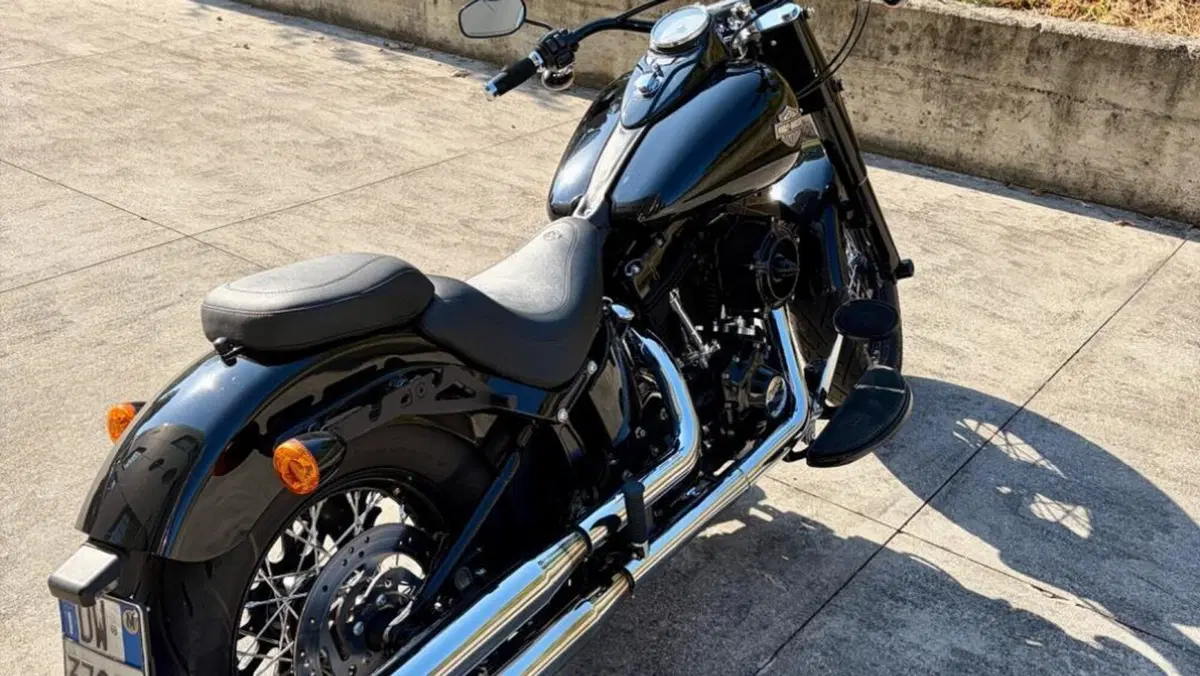 Harley-Davidson 1690 Slim (2011 - 16) - FLS  (5)