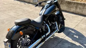 Harley-Davidson 1690 Slim (2011 - 16) - FLS  (5)