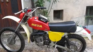 Betamotor   (2)