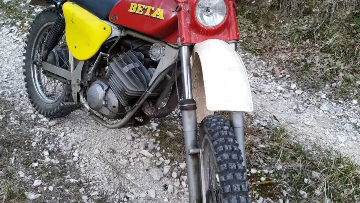 Betamotor   (4)