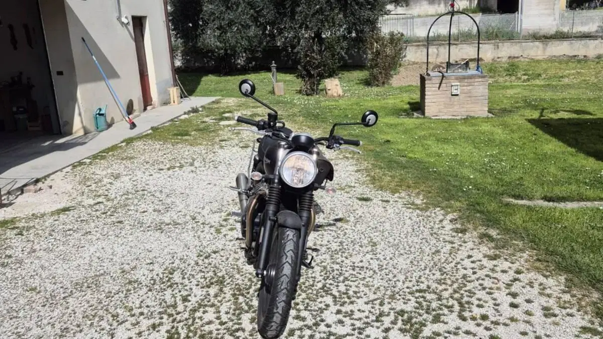 Triumph Street Twin 900 (2017 - 18)  (4)