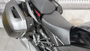 Kawasaki Ninja 1000 SX Tourer (2021 - 24)  (3)