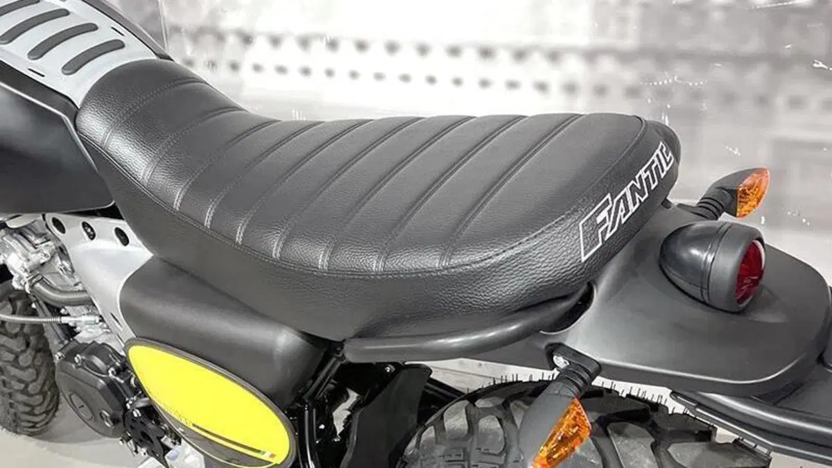 Fantic Motor Caballero 125 Scrambler (2021 - 23)  (4)