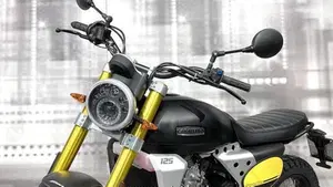 Fantic Motor Caballero 125 Scrambler (2021 - 23)  (8)