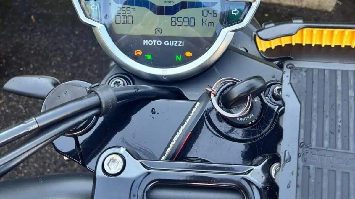Moto Guzzi V7 Stone (2021 - 24)  (5)