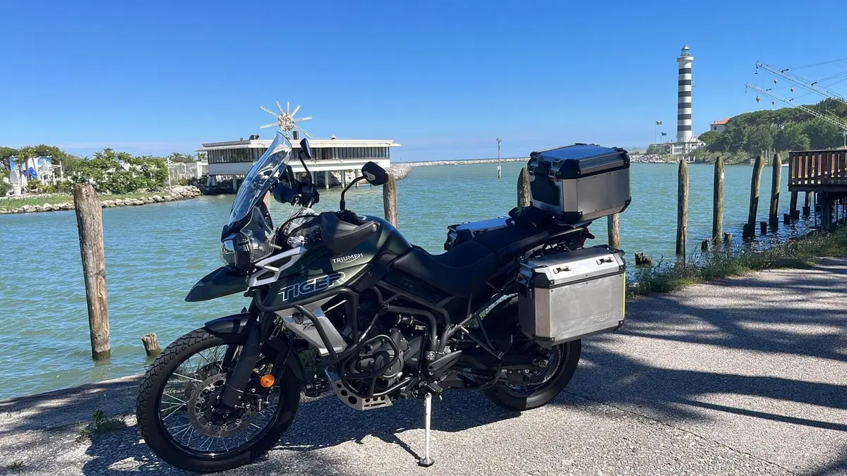 Triumph Tiger 800 XCx (2018 - 20)  (4)