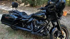 Harley-Davidson Street Glide ST (2022 - 23)  (6)