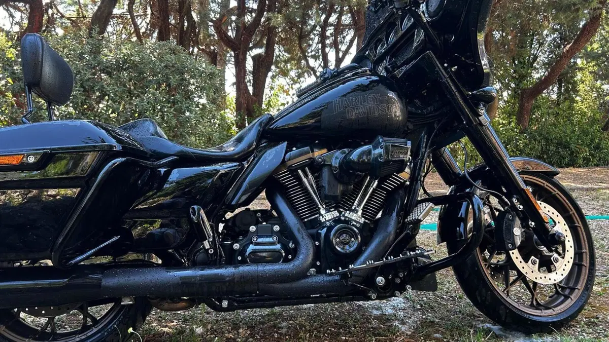Harley-Davidson Street Glide ST (2022 - 23)  (9)
