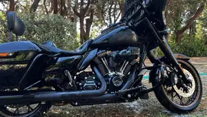 Harley-Davidson Street Glide ST (2022 - 23)  (9)