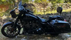 Harley-Davidson Street Glide ST (2022 - 23)  (13)