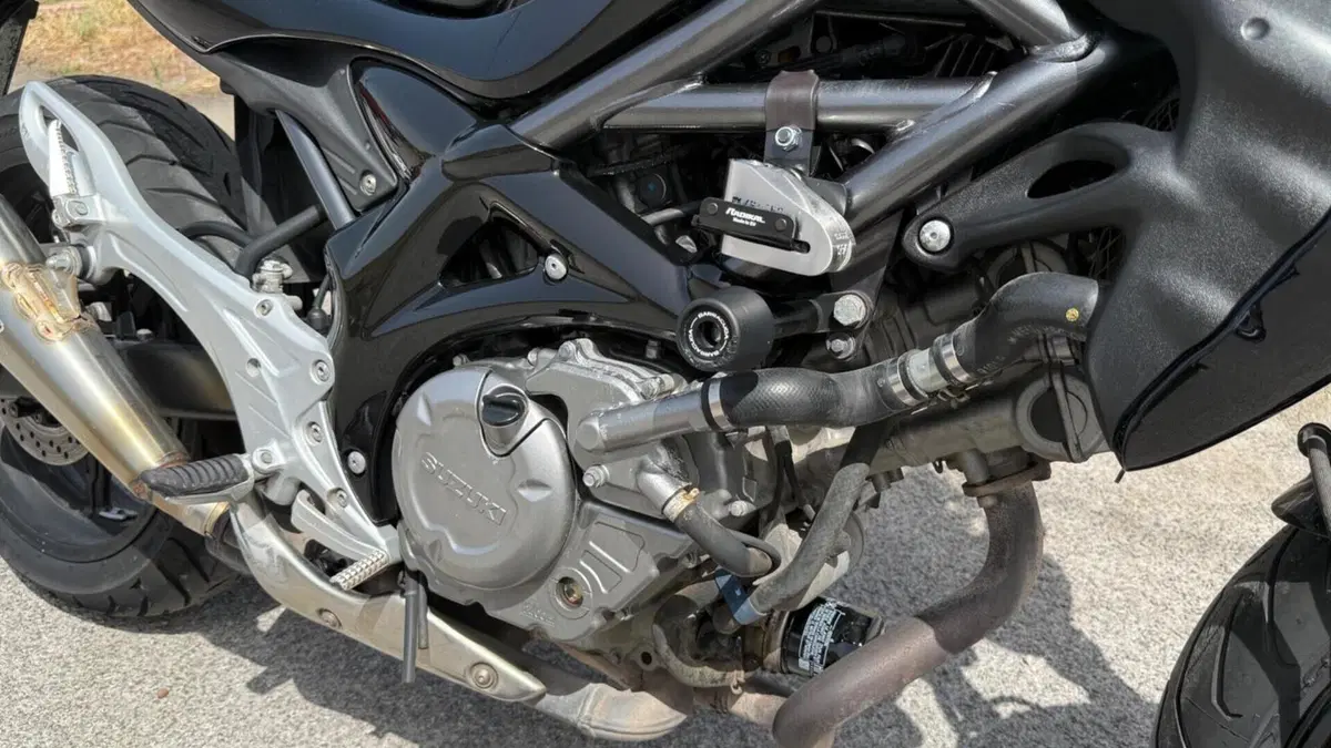 Suzuki Gladius 650 SFV (2009 - 15)  (15)