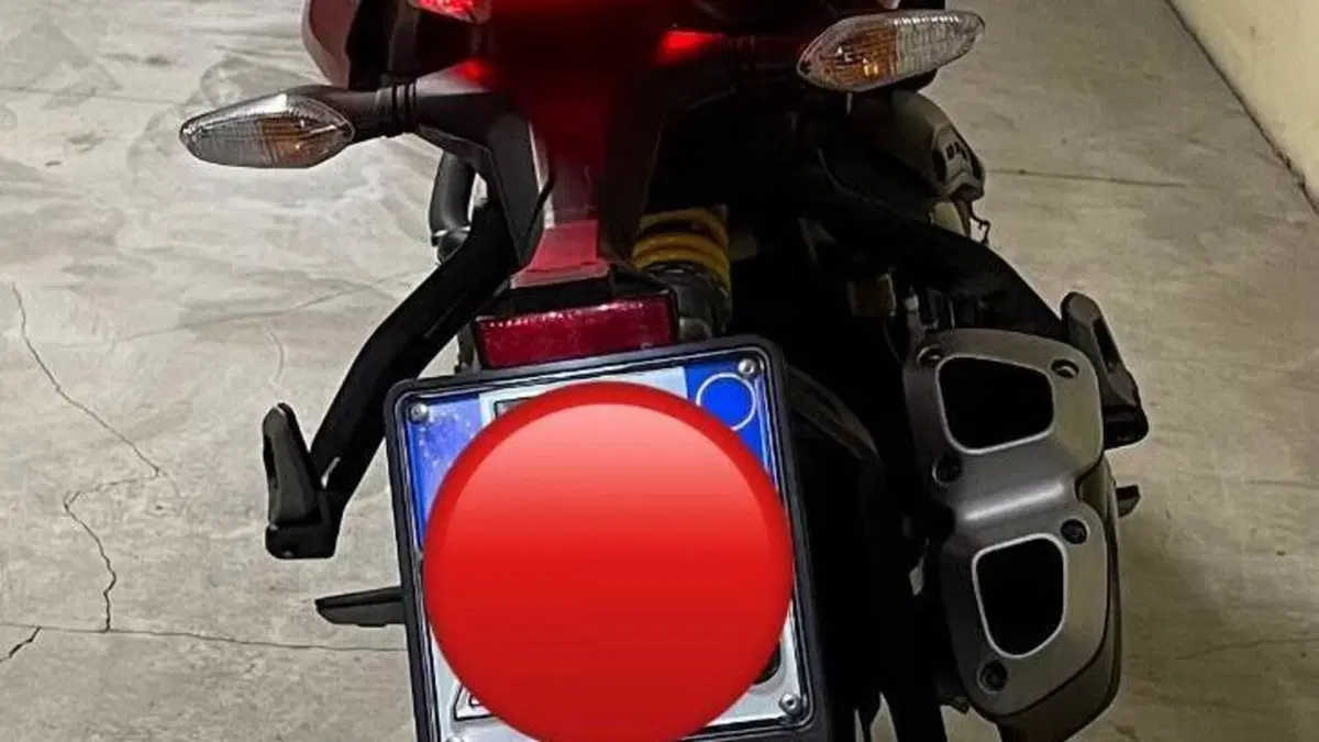 Ducati Monster 821 (2018 - 20)  (4)