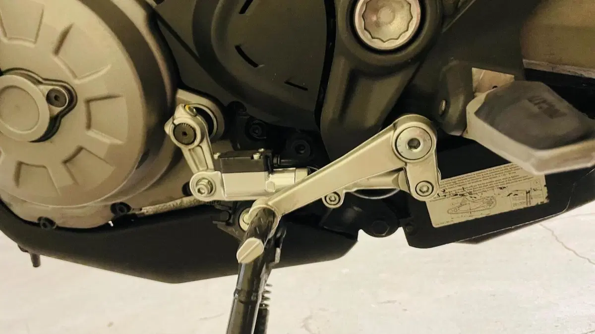 Ducati Monster 821 (2018 - 20)  (5)