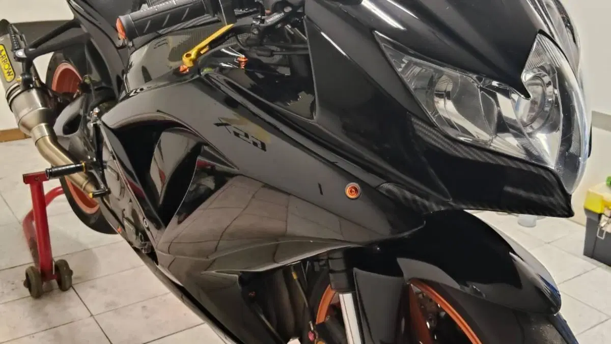 Suzuki GSX R 750 (2008 - 10)  (2)