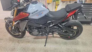 Suzuki GSX-S1000 (2021 - 25)  (3)