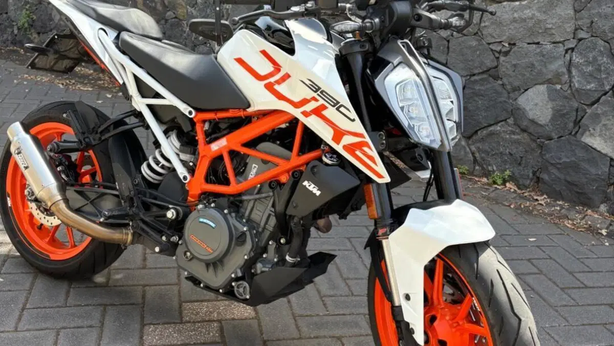 KTM 390 Duke ABS (2017 - 20)  (2)