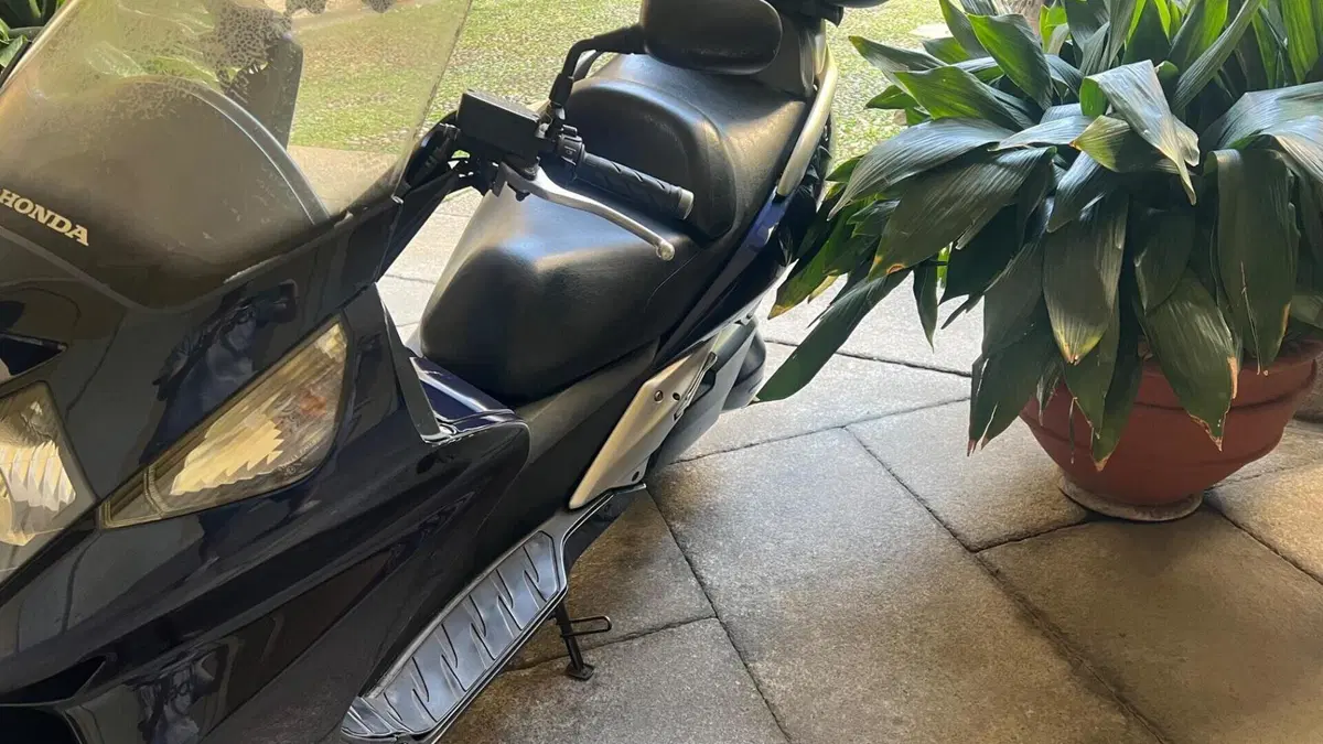 Honda Silver Wing 600 (2001 - 05)  (4)