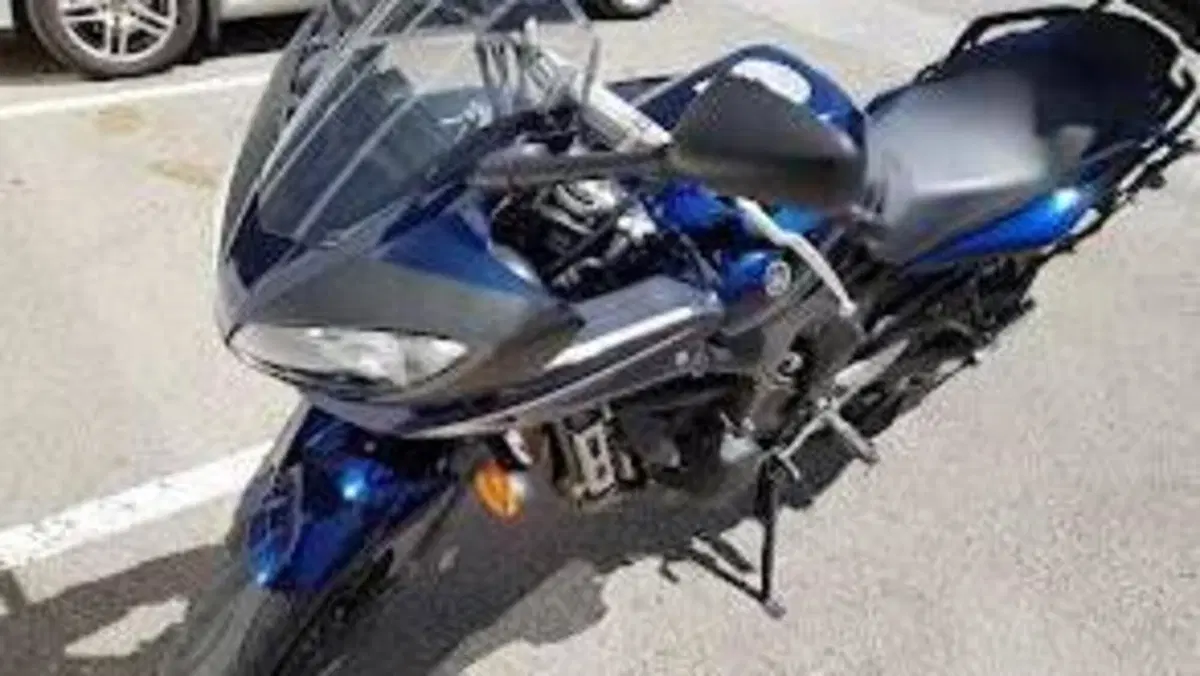 Yamaha FZ6 Fazer S2 (2006 - 11)  (3)