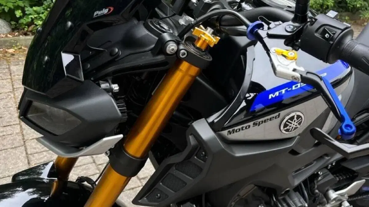 Yamaha MT-09 SP (2018 - 20)  (9)