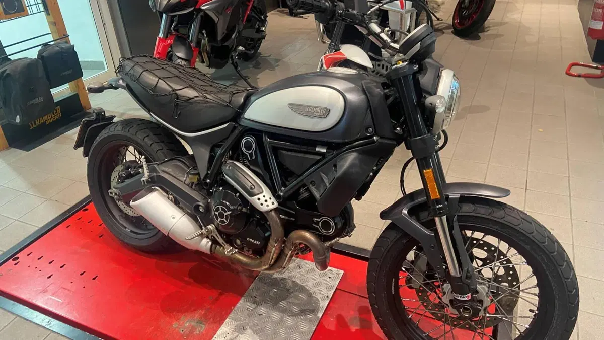 Ducati Scrambler 800 Classic (2017 - 18)  (4)