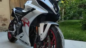 Suzuki GSX-8R (2024 - 26)  (2)