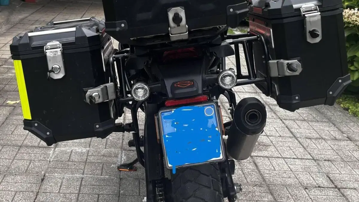 Harley-Davidson Pan America 1250 Special (2020 - 25)  (2)